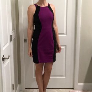 Worthington Fitted Dress Sz 6